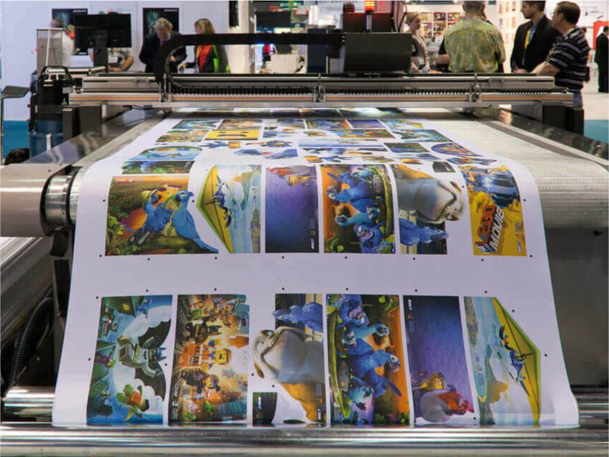 Enlargements (Next Day Service)