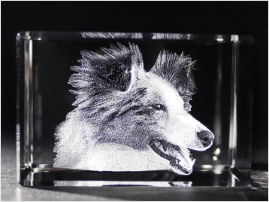 Pet Rectangle Crystal