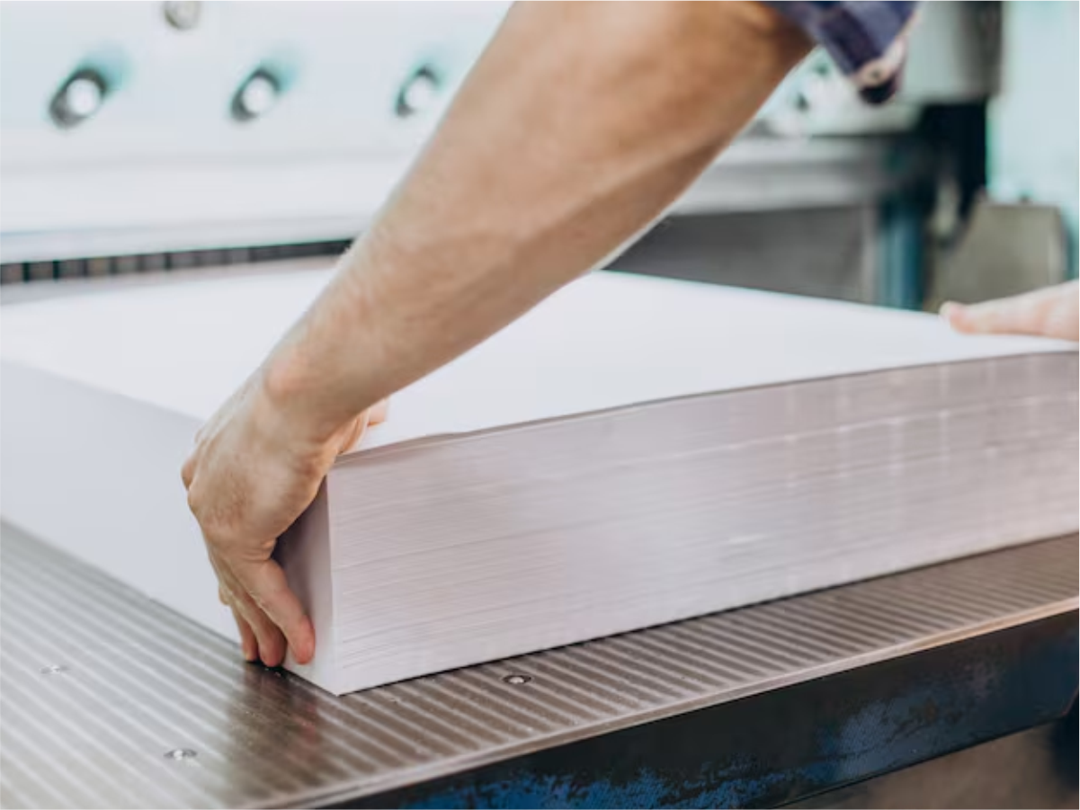 Standard Size Posters